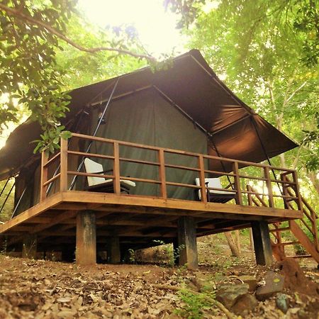 Kula Kula Luxury Camping Resort Udawalawe Exteriér fotografie