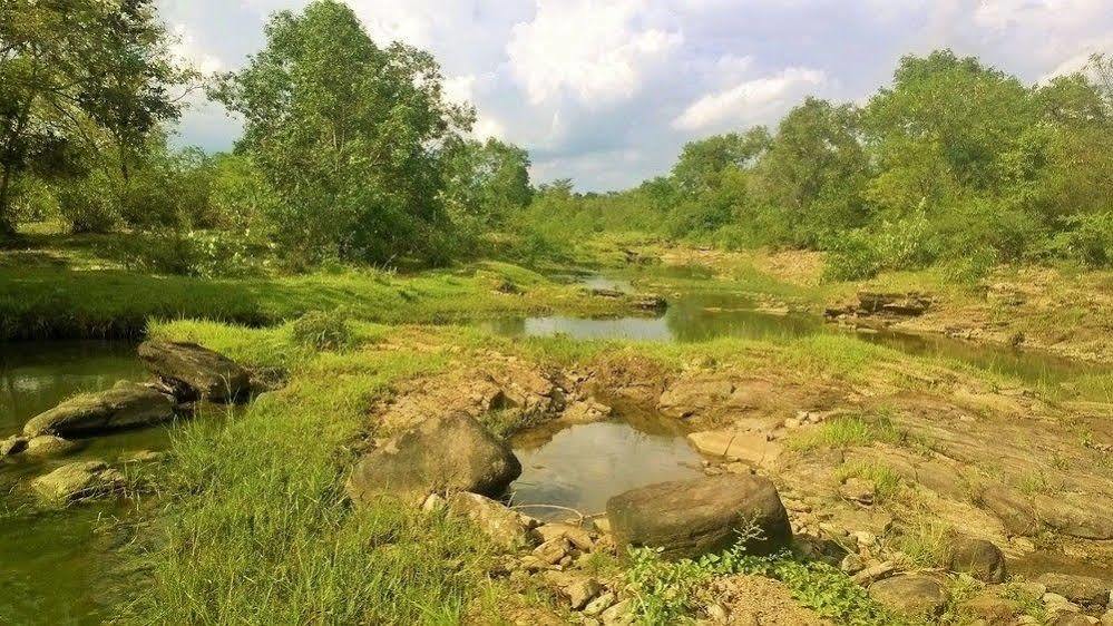 Kula Kula Luxury Camping Resort Udawalawe Exteriér fotografie