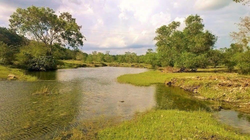 Kula Kula Luxury Camping Resort Udawalawe Exteriér fotografie
