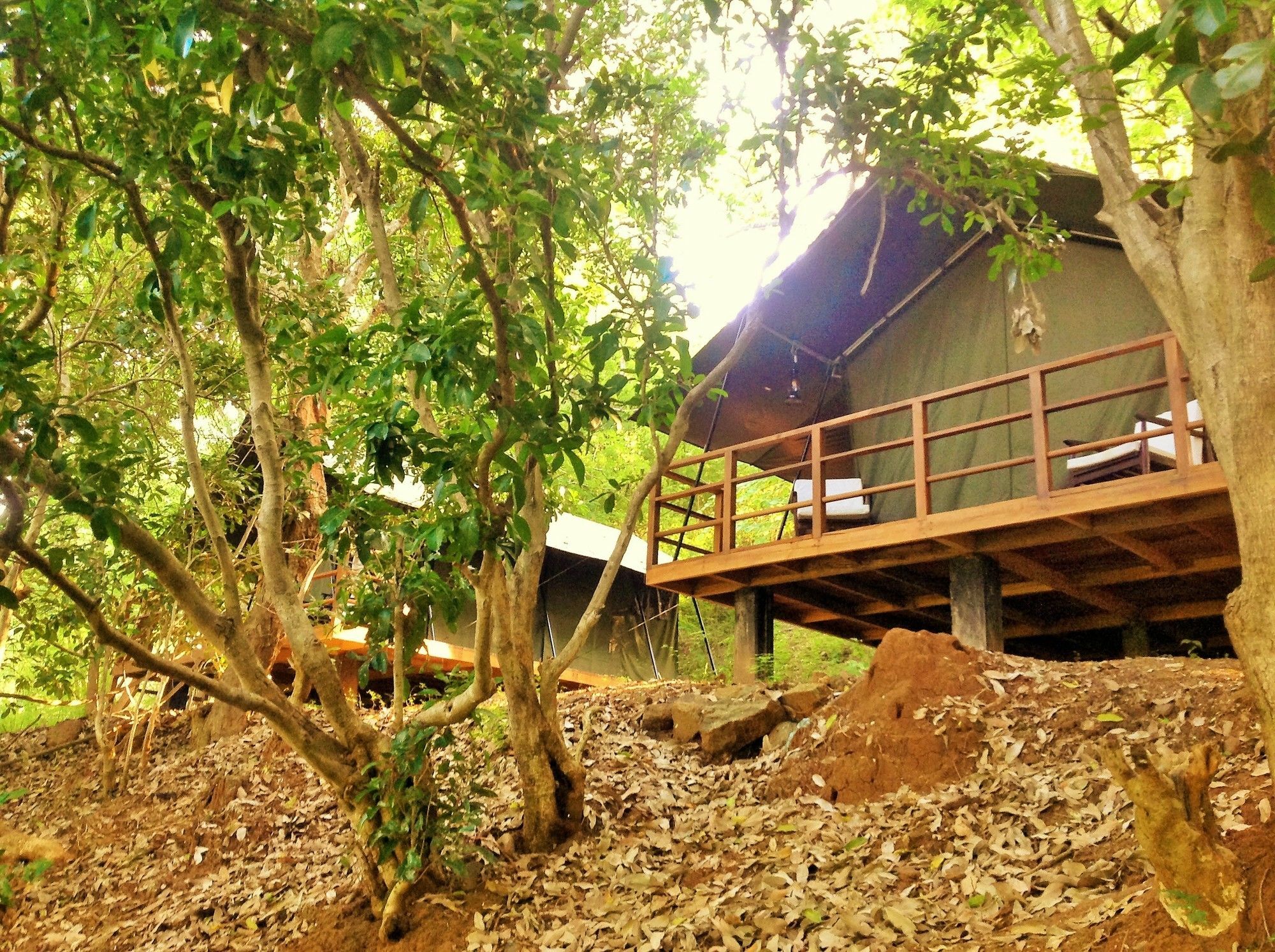 Kula Kula Luxury Camping Resort Udawalawe Exteriér fotografie